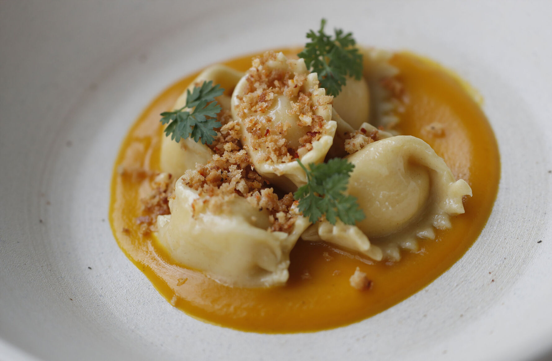 Squash Agnolotti at Bidwell